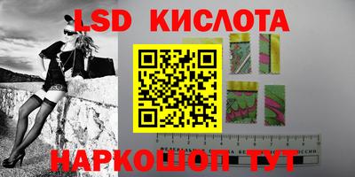 ГАЛЛЮЦИНОГЕННЫЕ ГРИБЫ Кандалакша