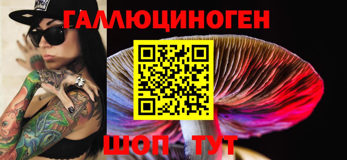 Галлюциногенные грибы Psilocybine cubensis Лабытнанги