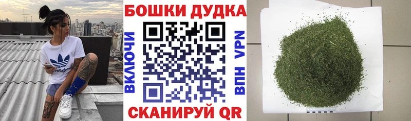 Каннабис OG Kush  Лабытнанги 